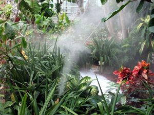 Humidification with Misting